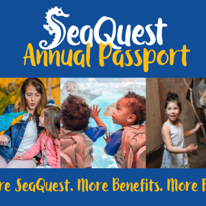 SeaQuest Annual Passport Membership Main Product Image